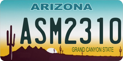 AZ license plate ASM2310