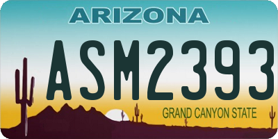AZ license plate ASM2393