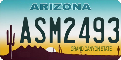 AZ license plate ASM2493