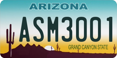 AZ license plate ASM3001