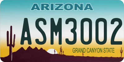 AZ license plate ASM3002