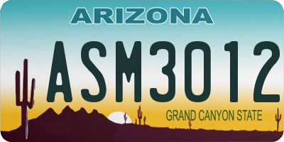 AZ license plate ASM3012