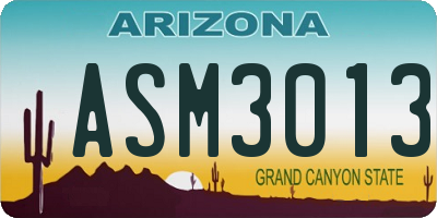 AZ license plate ASM3013