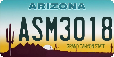 AZ license plate ASM3018