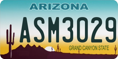 AZ license plate ASM3029