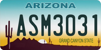 AZ license plate ASM3031