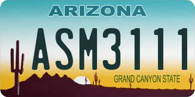 AZ license plate ASM3111