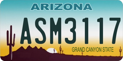 AZ license plate ASM3117