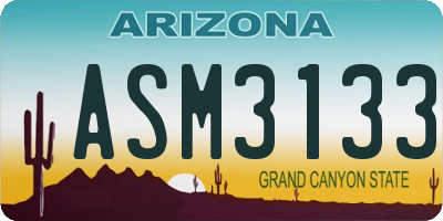 AZ license plate ASM3133