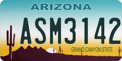 AZ license plate ASM3142