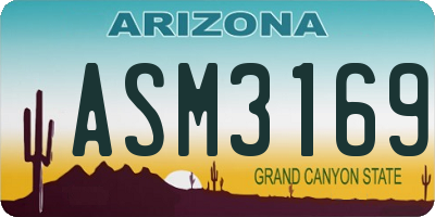 AZ license plate ASM3169