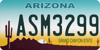 AZ license plate ASM3299