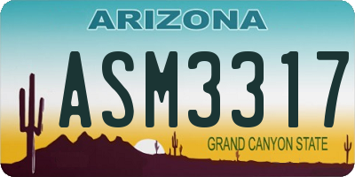 AZ license plate ASM3317