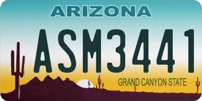 AZ license plate ASM3441