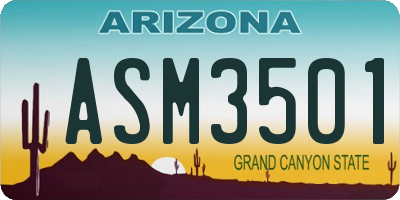 AZ license plate ASM3501