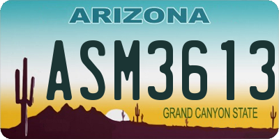 AZ license plate ASM3613