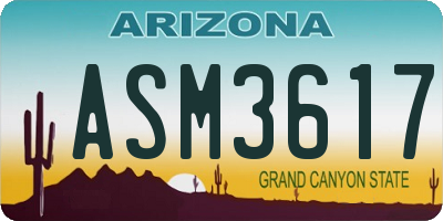 AZ license plate ASM3617