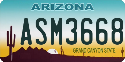 AZ license plate ASM3668