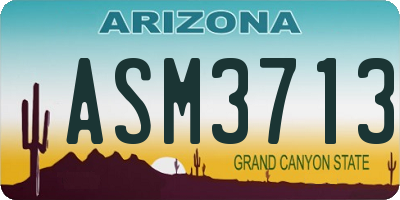 AZ license plate ASM3713