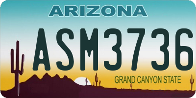 AZ license plate ASM3736