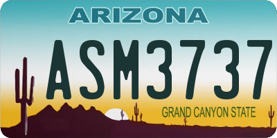 AZ license plate ASM3737