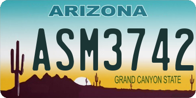AZ license plate ASM3742