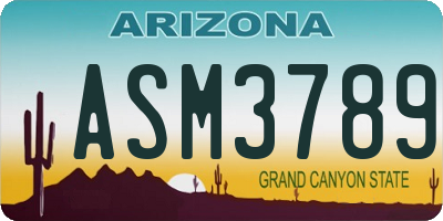 AZ license plate ASM3789
