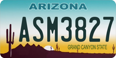 AZ license plate ASM3827