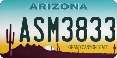 AZ license plate ASM3833