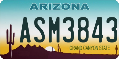 AZ license plate ASM3843