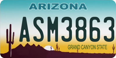 AZ license plate ASM3863