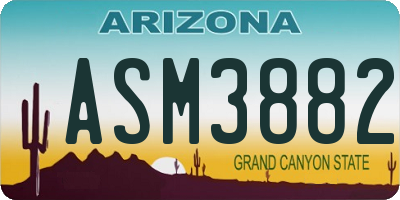 AZ license plate ASM3882