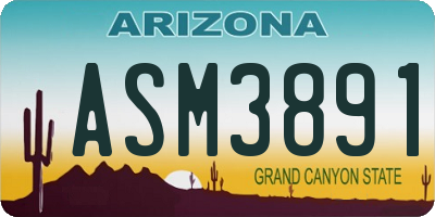 AZ license plate ASM3891