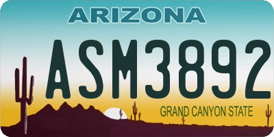 AZ license plate ASM3892