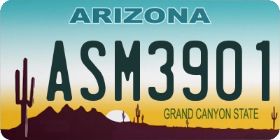 AZ license plate ASM3901