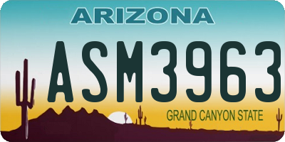 AZ license plate ASM3963