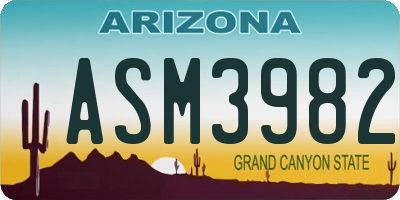 AZ license plate ASM3982