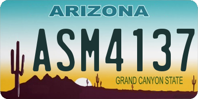 AZ license plate ASM4137