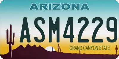 AZ license plate ASM4229