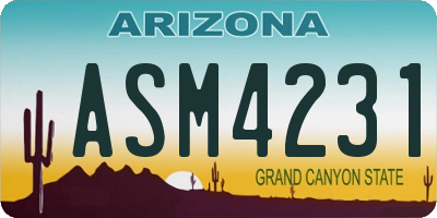 AZ license plate ASM4231
