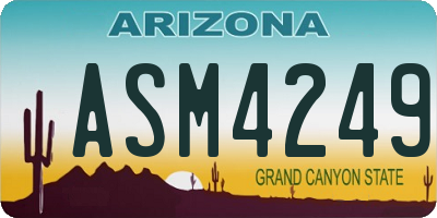 AZ license plate ASM4249