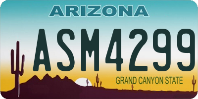AZ license plate ASM4299