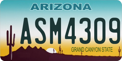 AZ license plate ASM4309