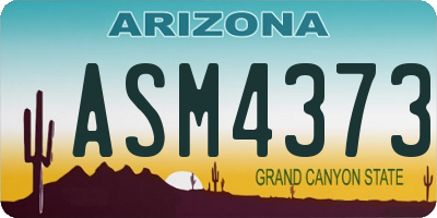 AZ license plate ASM4373