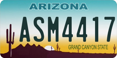 AZ license plate ASM4417