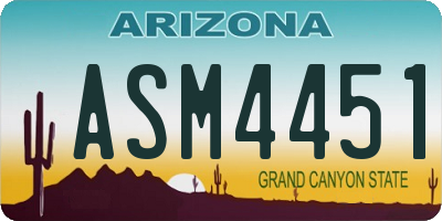 AZ license plate ASM4451