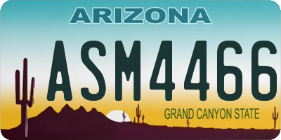 AZ license plate ASM4466