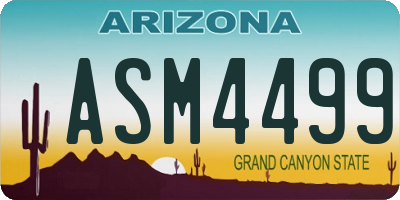 AZ license plate ASM4499