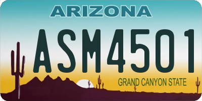 AZ license plate ASM4501