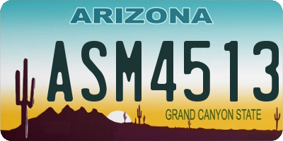 AZ license plate ASM4513